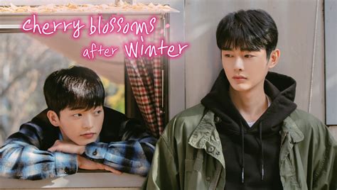 cherry blossom after winter|cherry blossom after winter ep 1 bilibili.